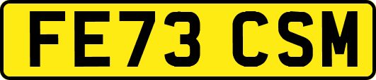FE73CSM