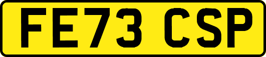 FE73CSP