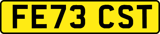 FE73CST