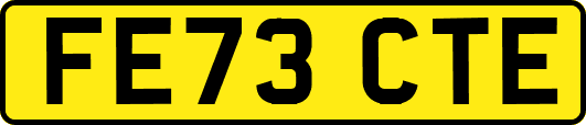 FE73CTE