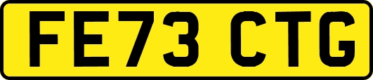 FE73CTG