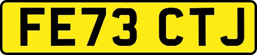 FE73CTJ