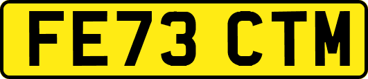 FE73CTM