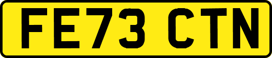 FE73CTN