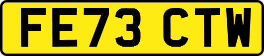 FE73CTW
