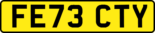 FE73CTY