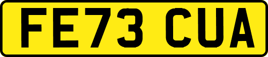 FE73CUA