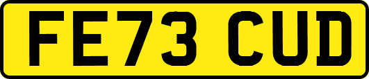 FE73CUD