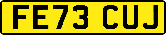 FE73CUJ