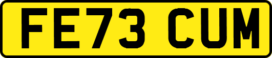 FE73CUM
