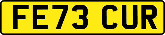 FE73CUR