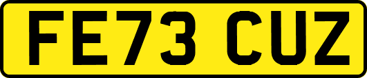 FE73CUZ