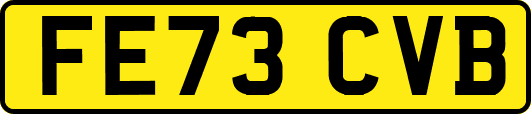 FE73CVB