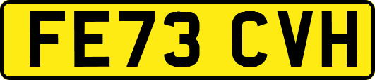 FE73CVH