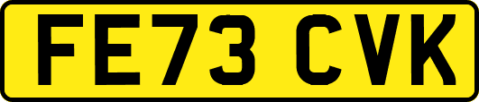 FE73CVK