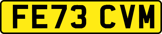 FE73CVM