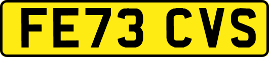 FE73CVS