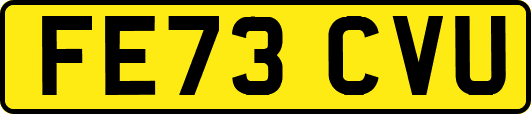 FE73CVU