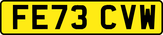 FE73CVW