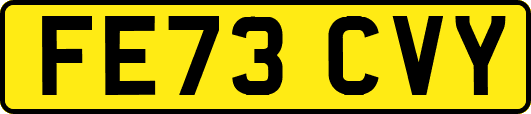 FE73CVY