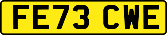 FE73CWE