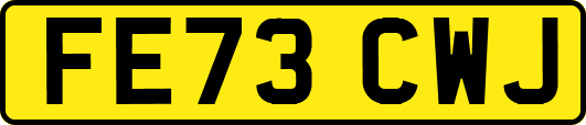 FE73CWJ