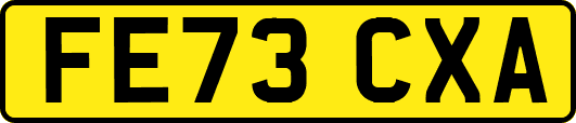 FE73CXA