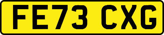 FE73CXG