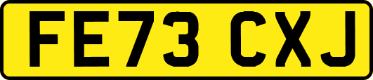 FE73CXJ