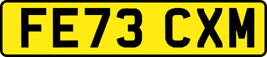 FE73CXM