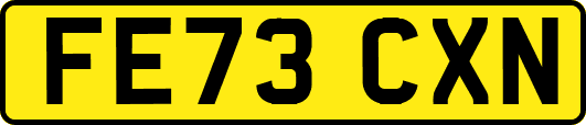 FE73CXN