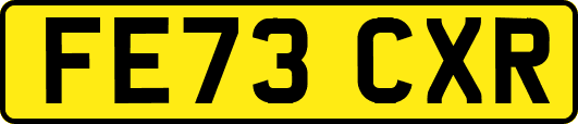 FE73CXR