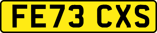 FE73CXS