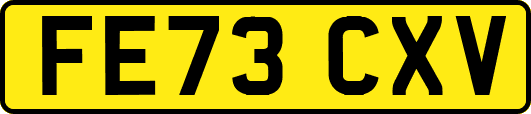 FE73CXV