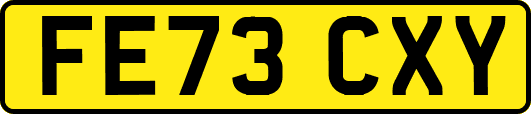 FE73CXY