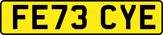 FE73CYE