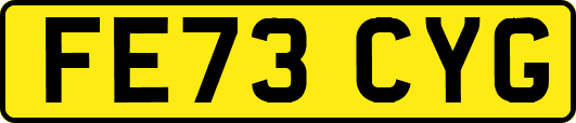 FE73CYG