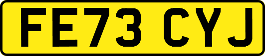 FE73CYJ