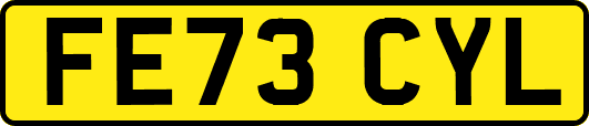 FE73CYL