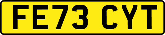 FE73CYT