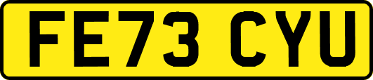 FE73CYU