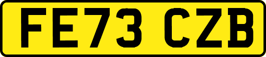 FE73CZB