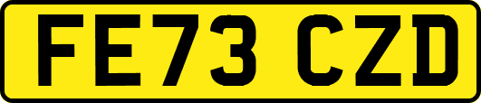 FE73CZD