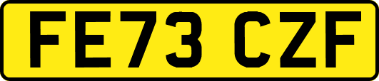FE73CZF