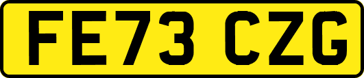 FE73CZG