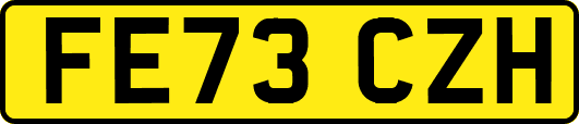 FE73CZH
