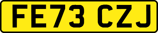 FE73CZJ
