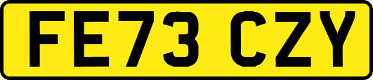 FE73CZY