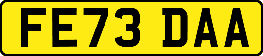 FE73DAA