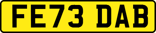 FE73DAB